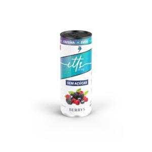 ITTS SERO BERRYS S/ACUCAR PACK COM 06 UN 269ML